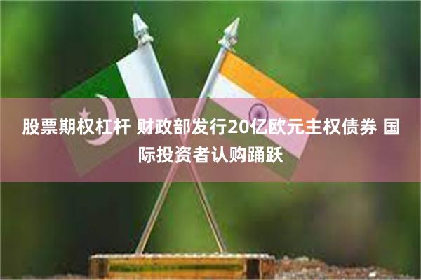 股票期权杠杆 财政部发行20亿欧元主权债券 国际投资者认购踊跃