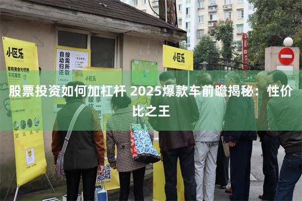 股票投资如何加杠杆 2025爆款车前瞻揭秘：性价比之王