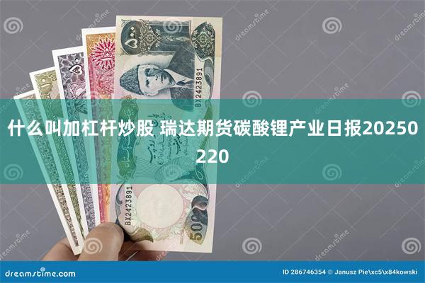 什么叫加杠杆炒股 瑞达期货碳酸锂产业日报20250220