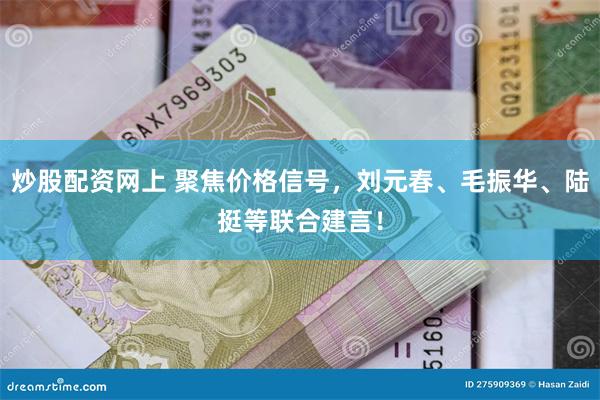 炒股配资网上 聚焦价格信号，刘元春、毛振华、陆挺等联合建言！