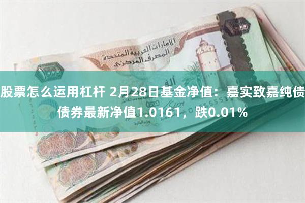 股票怎么运用杠杆 2月28日基金净值：嘉实致嘉纯债债券最新净值1.0161，跌0.01%