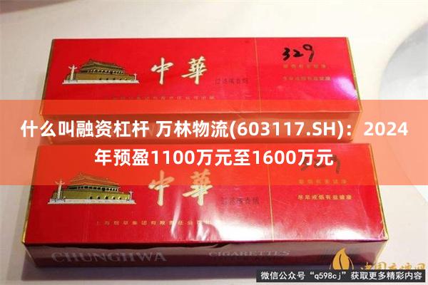 什么叫融资杠杆 万林物流(603117.SH)：2024年预盈1100万元至1600万元